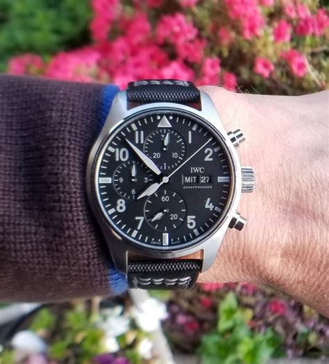 pilot watch chronograph reviews